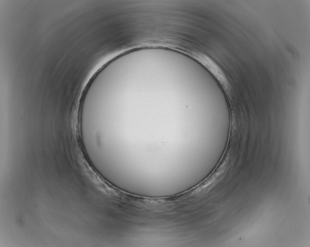 X0000111651052200907171055