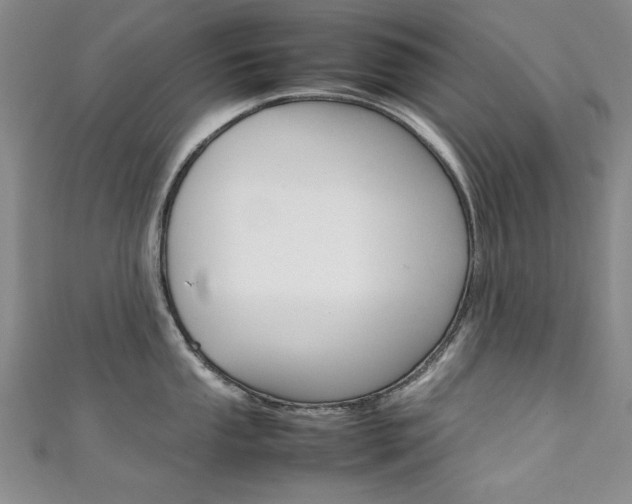 X0000111651053200907171055