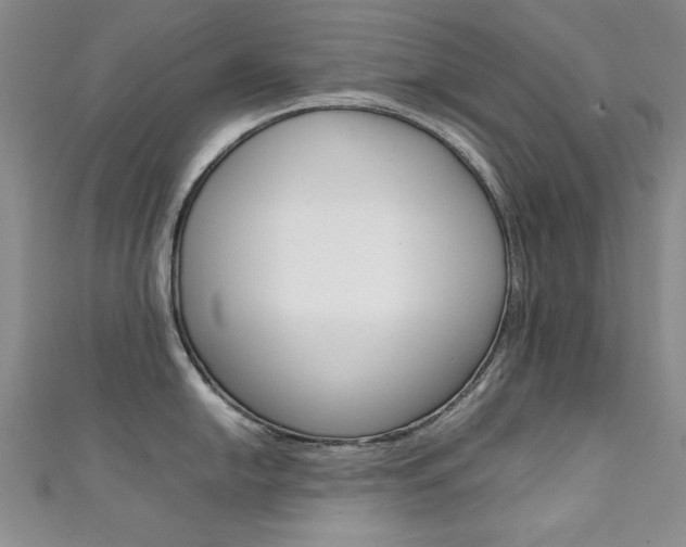 X0000111651054200907171055