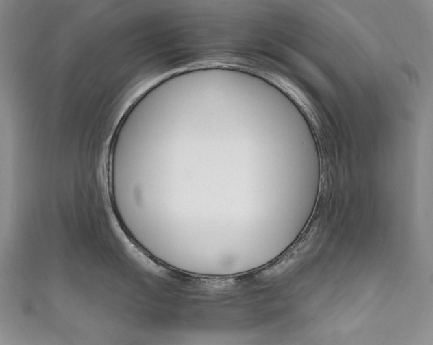 X0000111651055200907171055