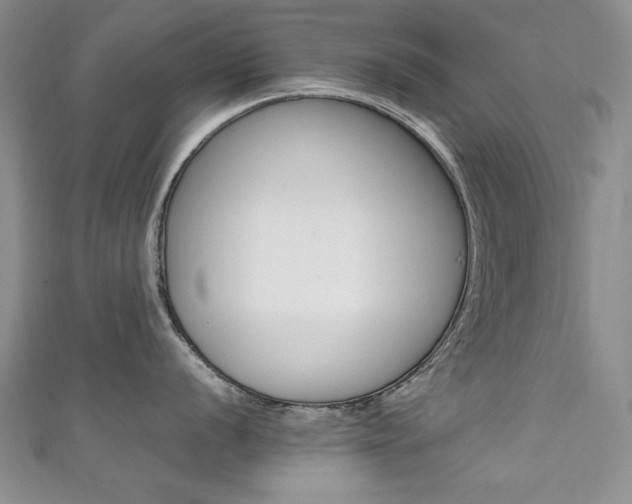 X0000111651056200907171055