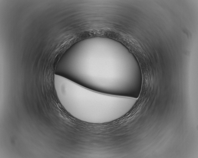 X0000111651060200907171054