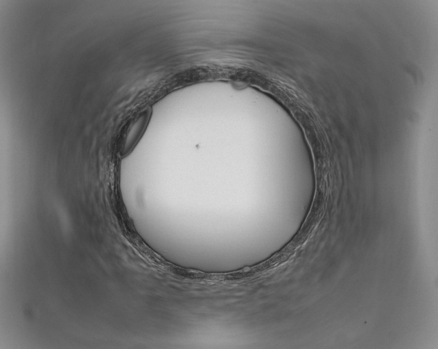 X0000111651061200907171054