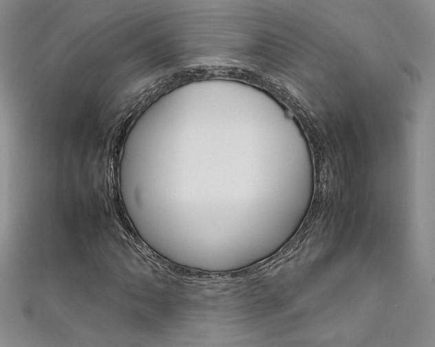 X0000111651062200907171054