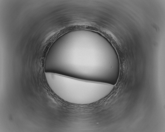 X0000111651064200907171054