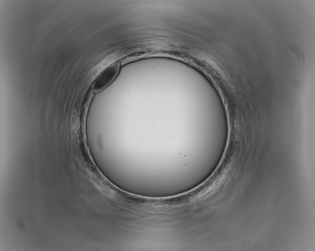 X0000111651065200907171054