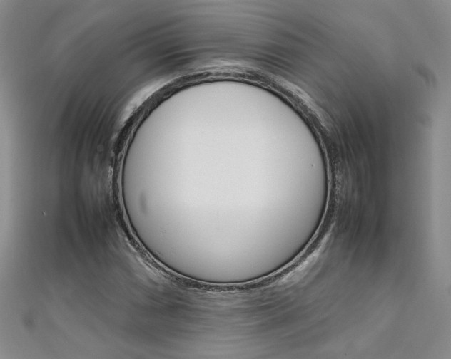 X0000111651066200907171054