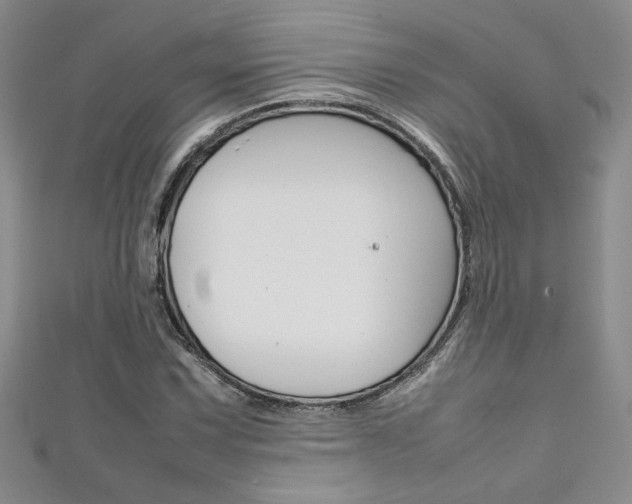 X0000111651067200907171054