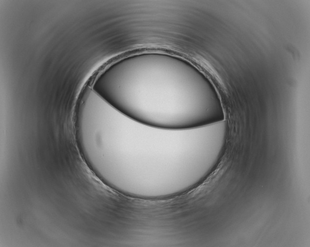 X0000111651068200907171054