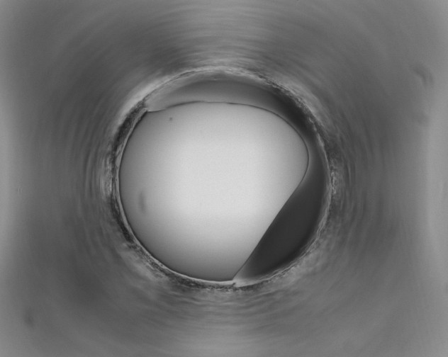X0000111651069200907171054