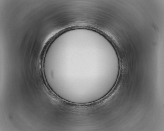 X0000111651070200907171054
