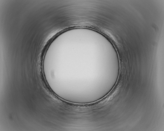 X0000111651071200907171054