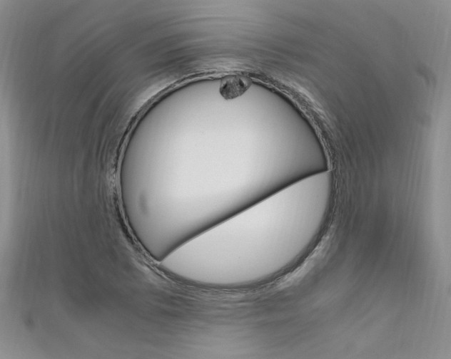 X0000111651073200907171054