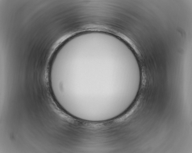 X0000111651074200907171054