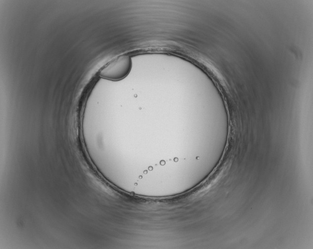 X0000111651075200907171054