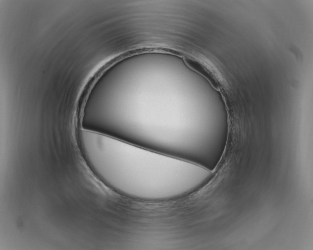 X0000111651076200907171054