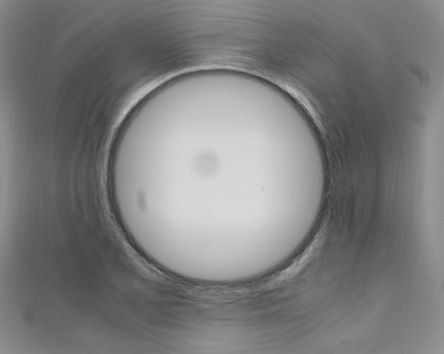 X0000111651077200907171054