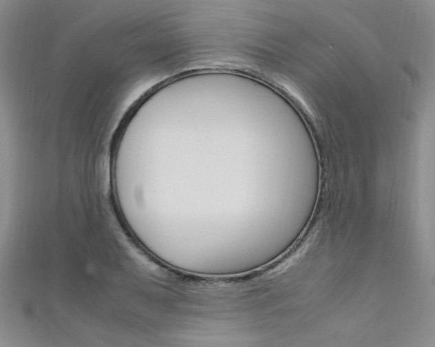 X0000111651079200907171054