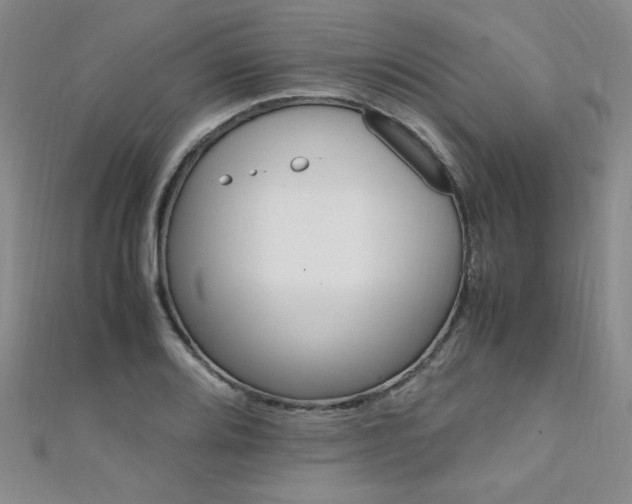 X0000111651080200907171054