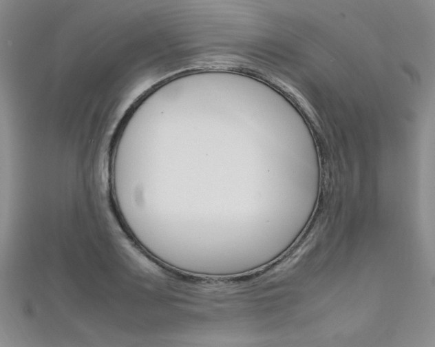 X0000111651083200907171054