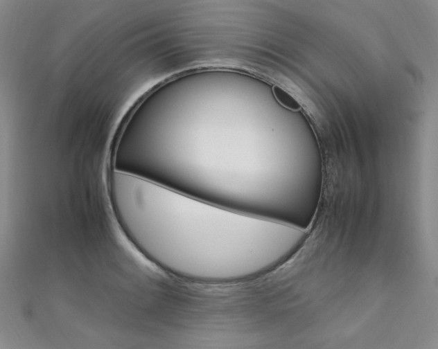 X0000111651084200907171054