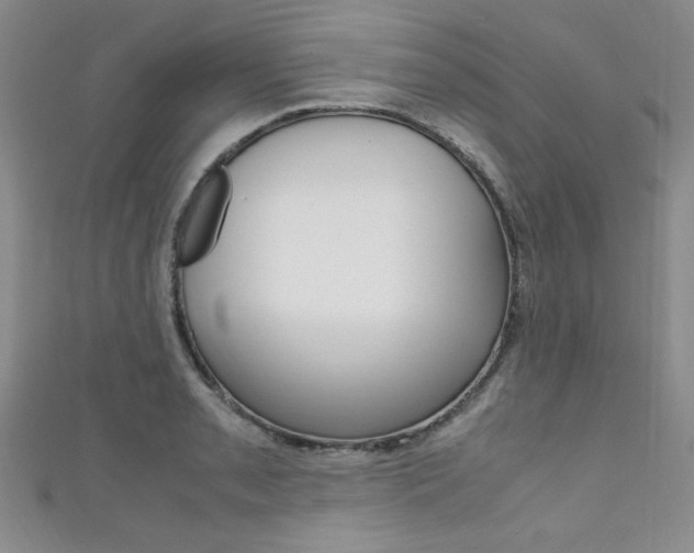 X0000111651085200907171054