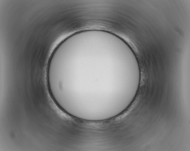 X0000111651086200907171054