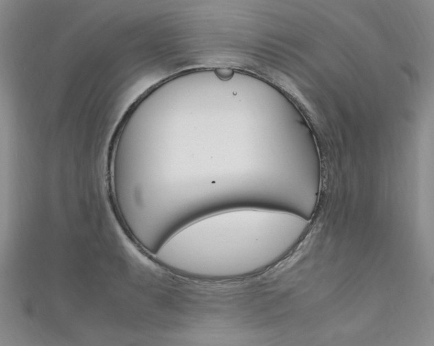 X0000111651087200907171054