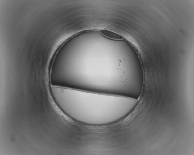 X0000111651088200907171054