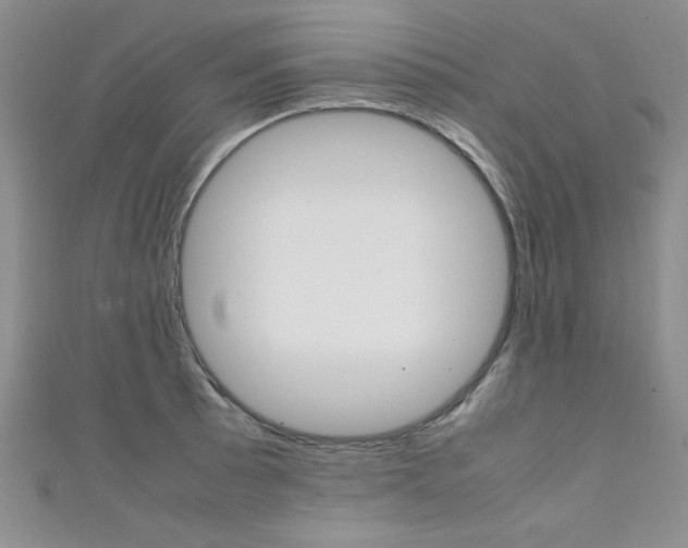 X0000111651089200907171054