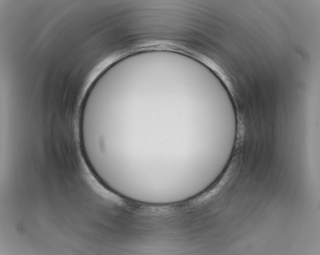 X0000111651090200907171054