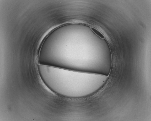X0000111651092200907171054