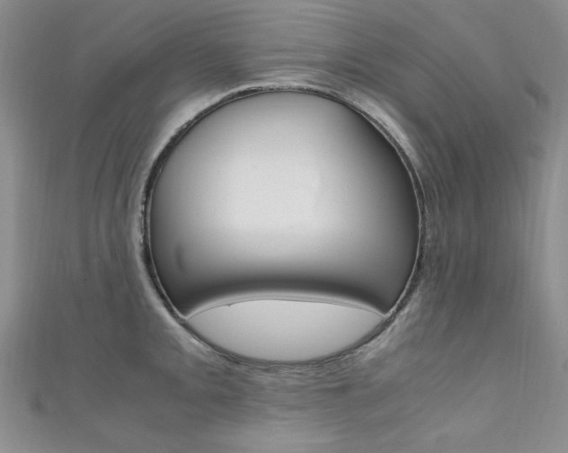 X0000111651093200907171054