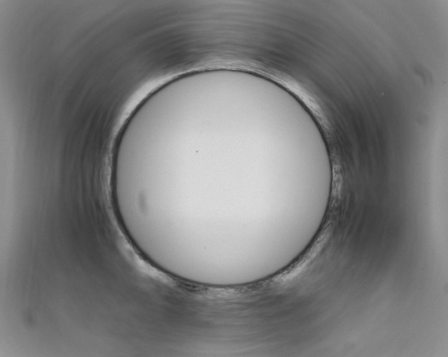 X0000111651094200907171054