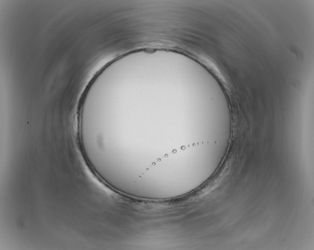 X0000111651095200907171054