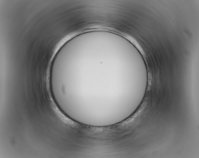 X0000111651098200907171053