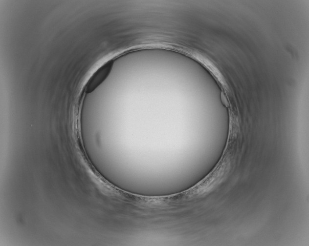 X0000111651101200907171053