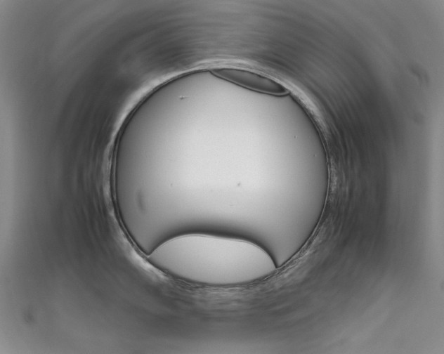 X0000111651102200907171053