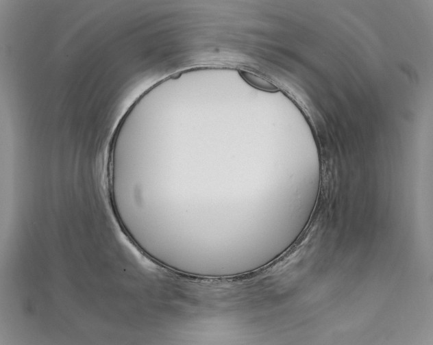 X0000111651103200907171053