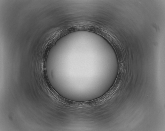 X0000111651108200907171053