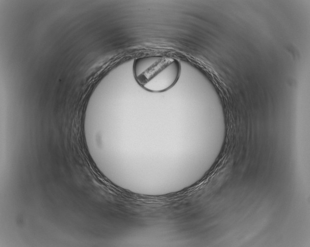 X0000111651110200907171053