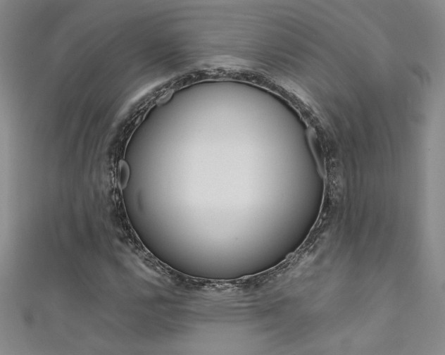 X0000111651112200907171053