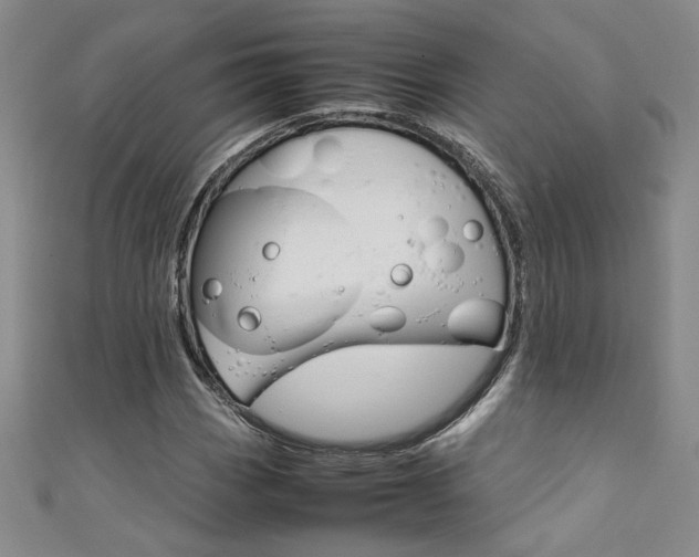 X0000111651113200907171053