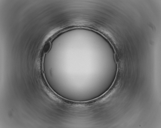X0000111651114200907171053