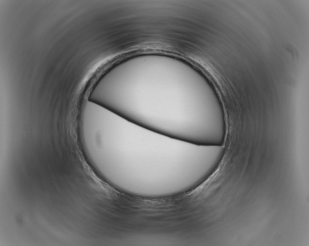 X0000111651115200907171053