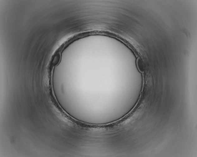 X0000111651118200907171053