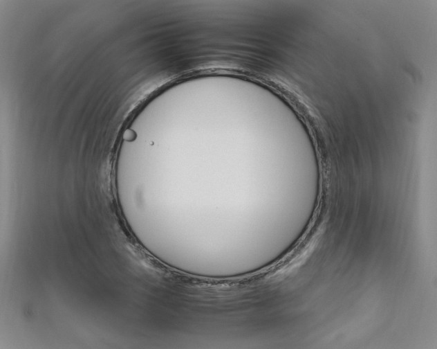X0000111651121200907171053
