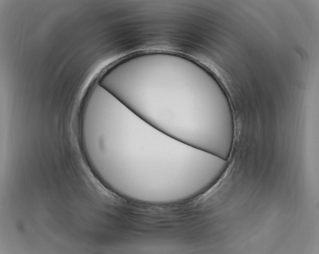 X0000111651123200907171053