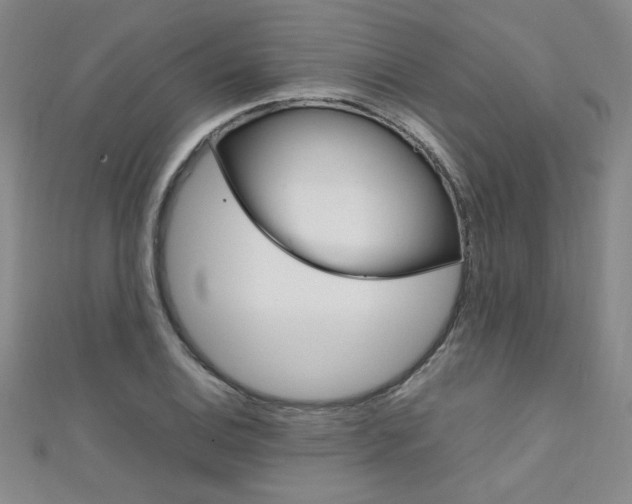 X0000111651124200907171053