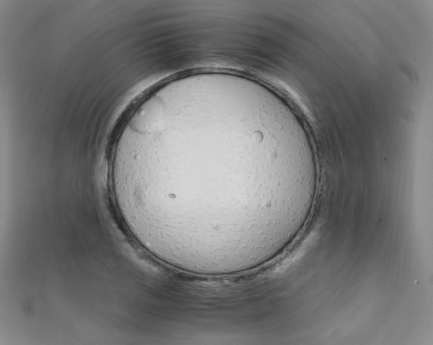 X0000111651125200907171053